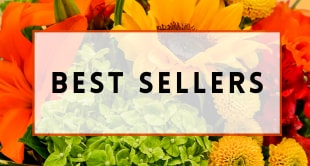 Flower Delivery to Willoughby by Plant Magic Florist